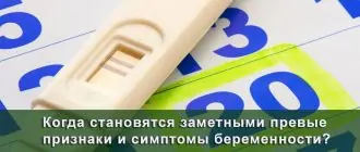 Когда заметны первые признаки беременности