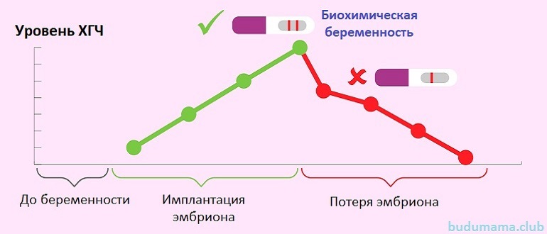 График уровня ХГЧ при биохимической беременности