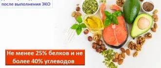 Диета при ЭКО