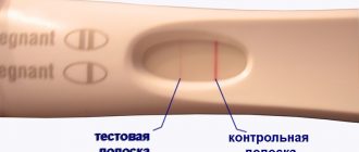 Слабая вторая полоска на тесте на беременность