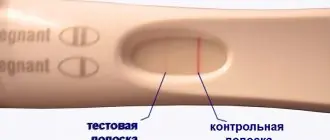 Слабая вторая полоска на тесте на беременность
