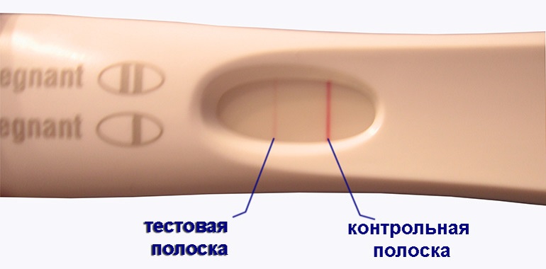 Слабая вторая полоска на тесте на беременность