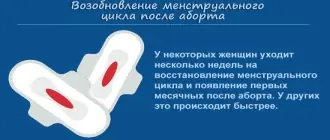 Возобновление менструального цикла после аборта