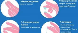 Характеристики слизи при цервикальном методе
