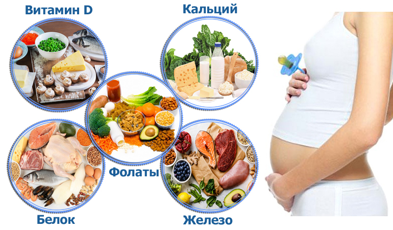 Основные питательные вещества при беременности