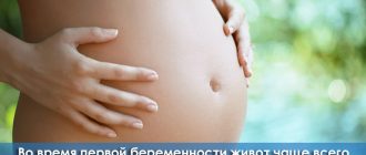 Сроки начала роста живота при беременности