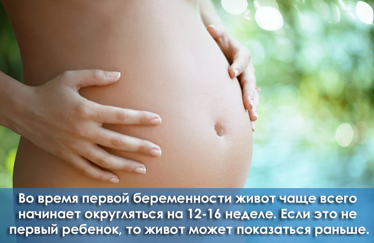 Сроки начала роста живота при беременности