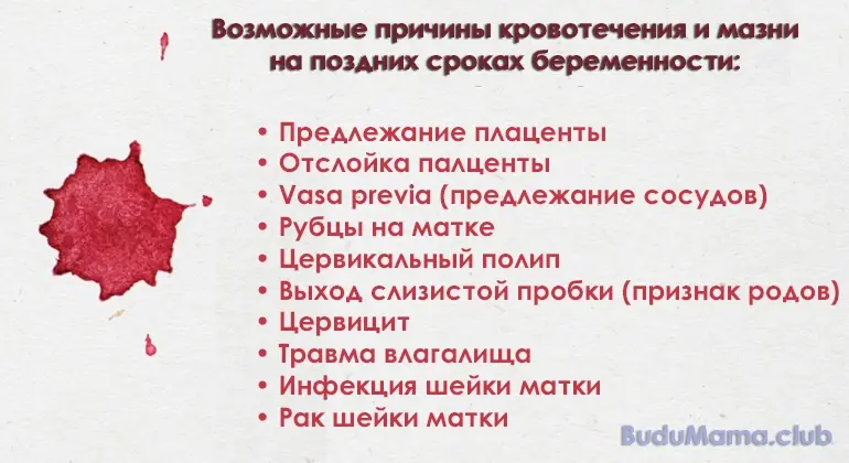 Причины кровотечения и мазни на поздних сроках беременности