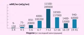 Диаграмма ХГЧ при беременности по неделям