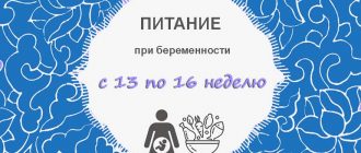 Питание при беременности с 13 по 16 неделю