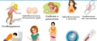 Ранние симптомы беременности