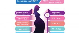 Как растет вес женщины во время беременности