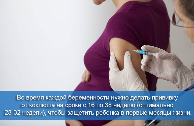 Вакцинация от коклюша при беременности