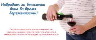 Навредит ли бокал вина при беременности
