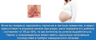 Герпес во время беременности